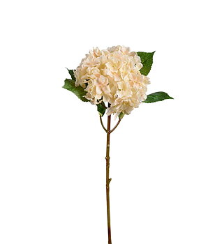 Hortensia 40 cm beige
