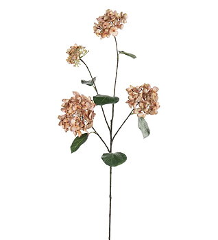 Hortensia 80 cm beige/aprikos