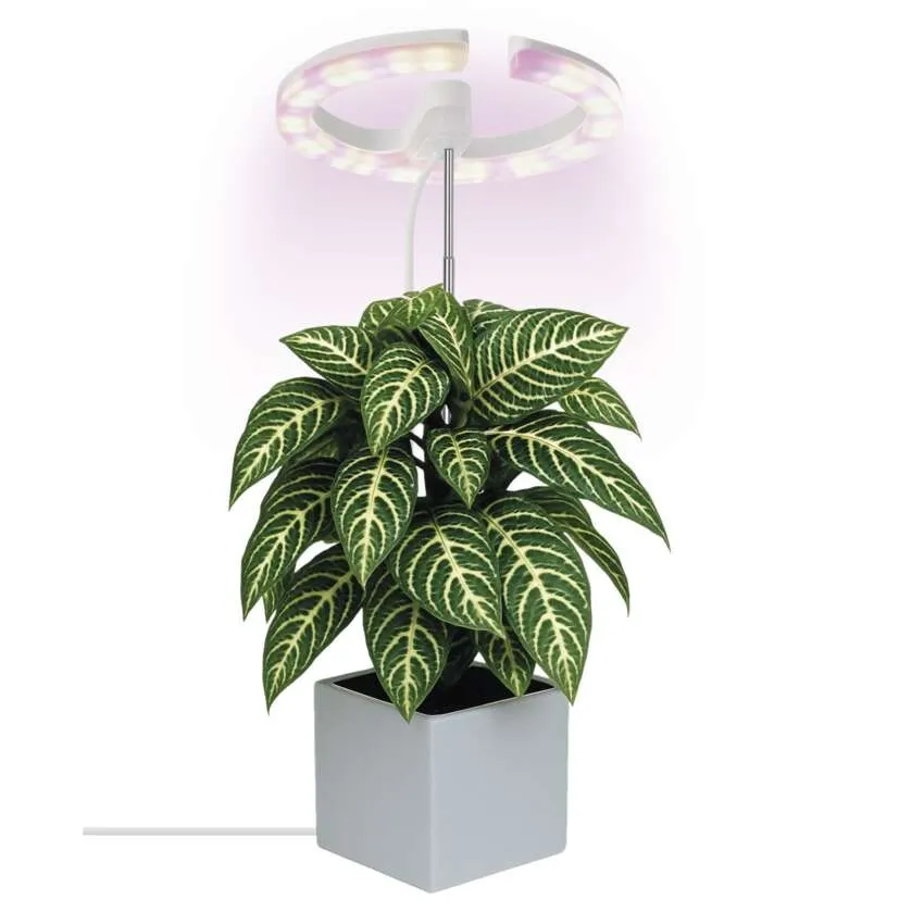 Emos Växtlampa Ring 300lm