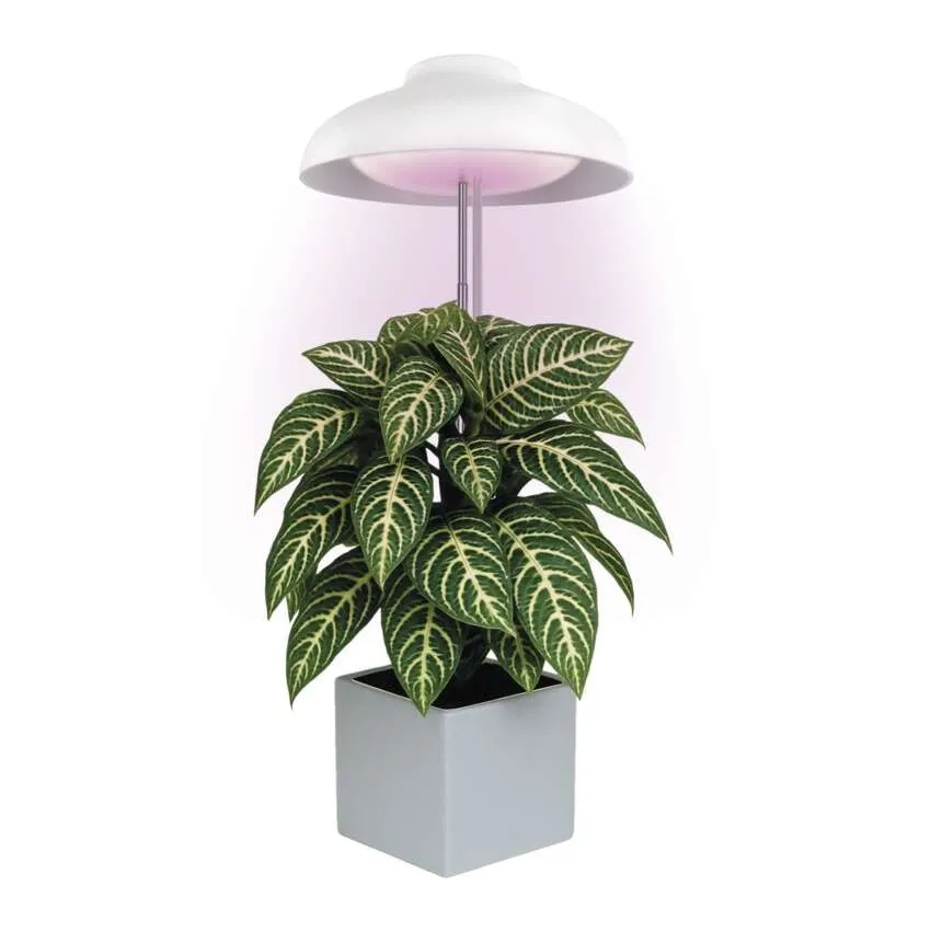 Emos Växtlampa Umbrella 235lm