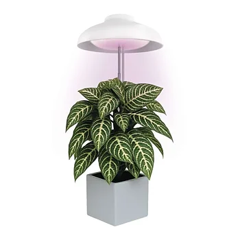 Emos Växtlampa Umbrella 235lm