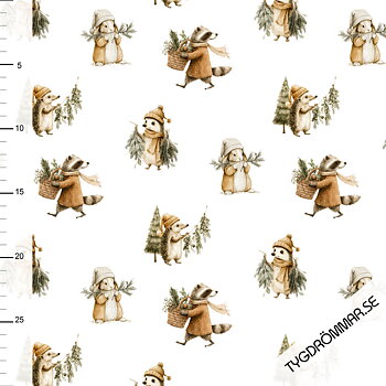 PRE-ORDER! WINTER ANIMALS