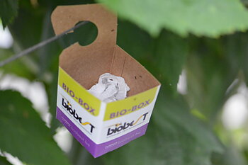 Bioboxar 5 st.