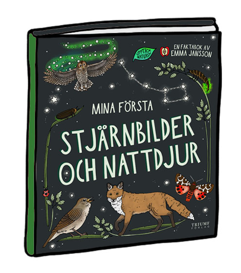 Mina första stjärnbilder och nattdjur