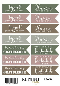 Stickers Reprint - Hidden Magic Norsk  text    -  11x16 cm