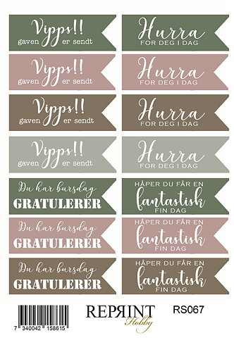 Stickers Reprint - Hidden Magic Norsk  text    -  11x16 cm