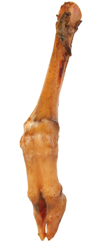 Lammfot 16-18 cm, ca 80-90