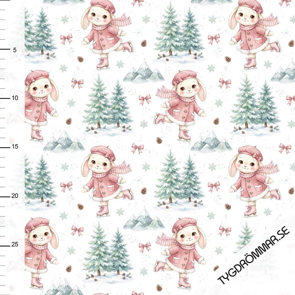 PRE-ORDER! WINTER SKATES
