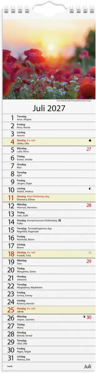 Väggkalender Stora Hundkalendern 2027 Burde - 2