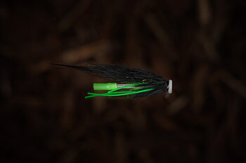Futurefly MV Fly