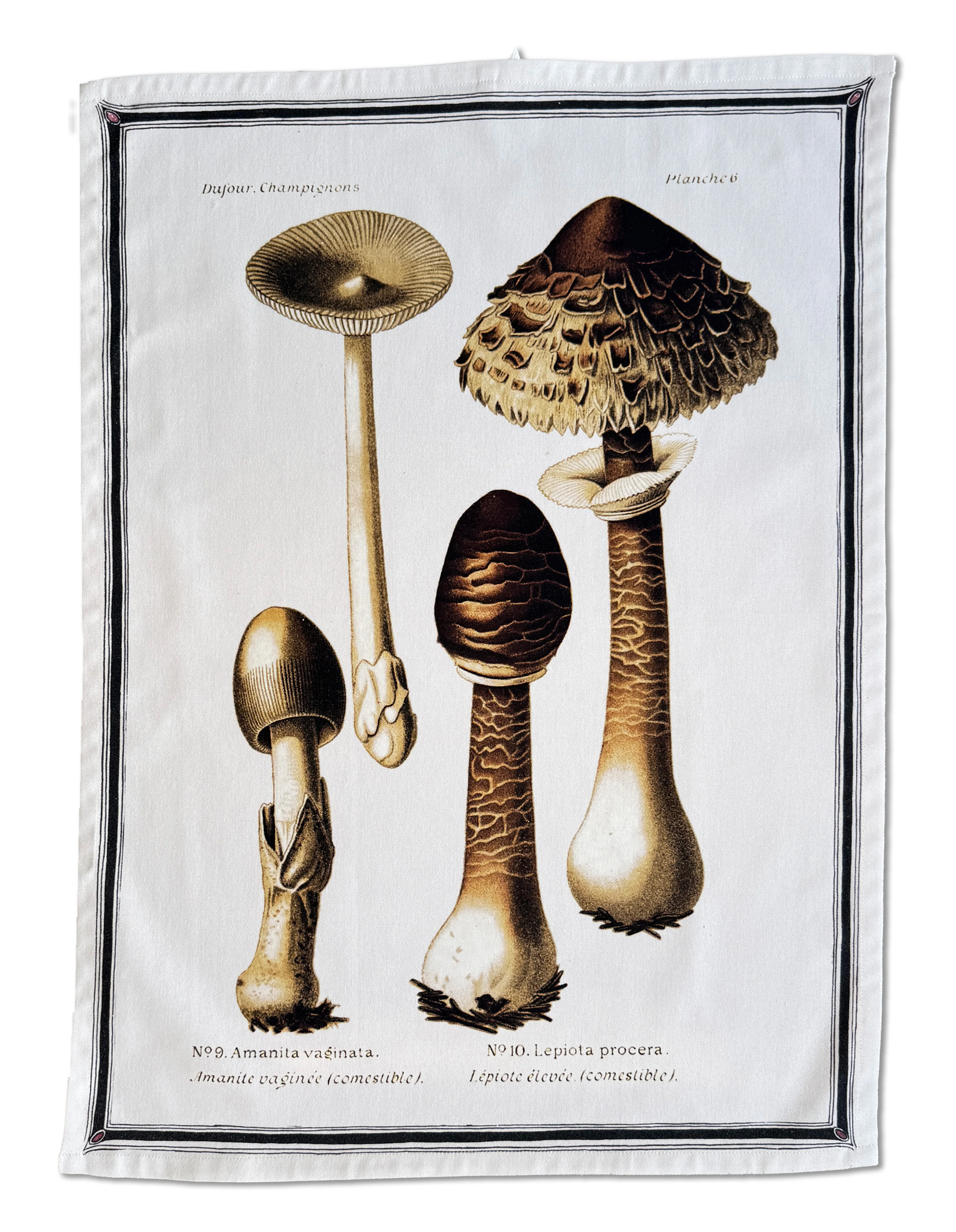 Kökshandduk- Svampar - 50x70 - 2