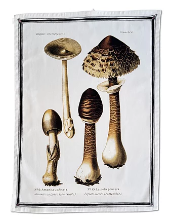 Kökshandduk- Svampar - 50x70