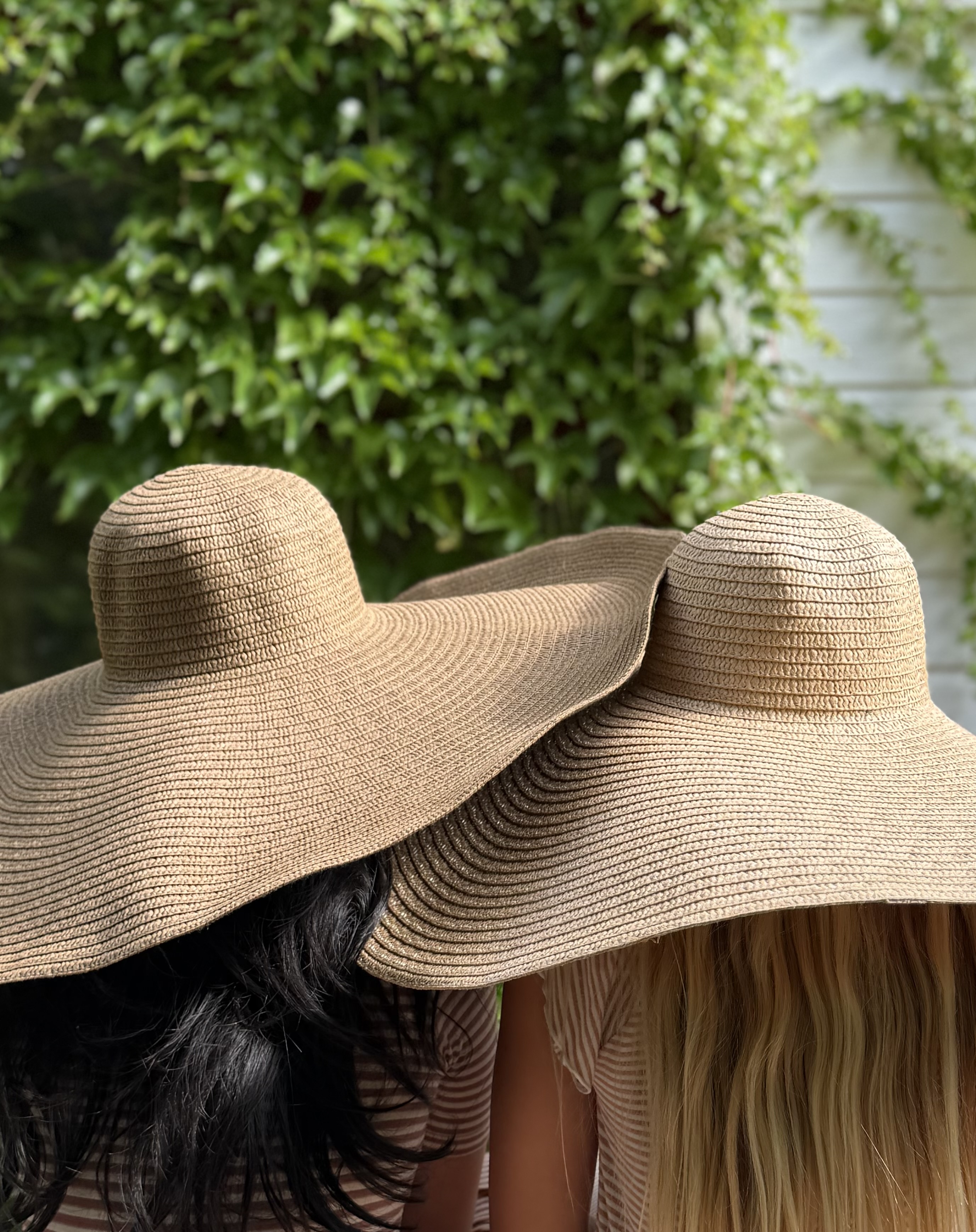 Hatt Brun - 2