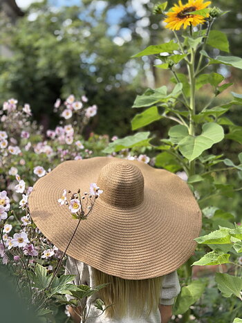 Hatt Brun