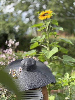 Hatt Svart