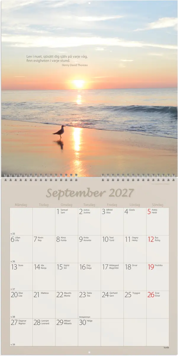 Väggkalender 2027 Carpe Diem - 2