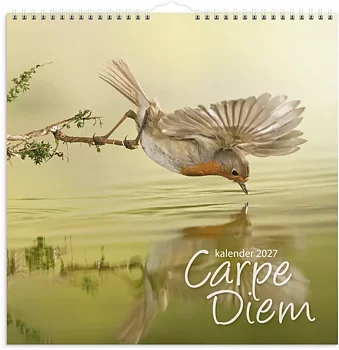 Väggkalender 2027 Carpe Diem