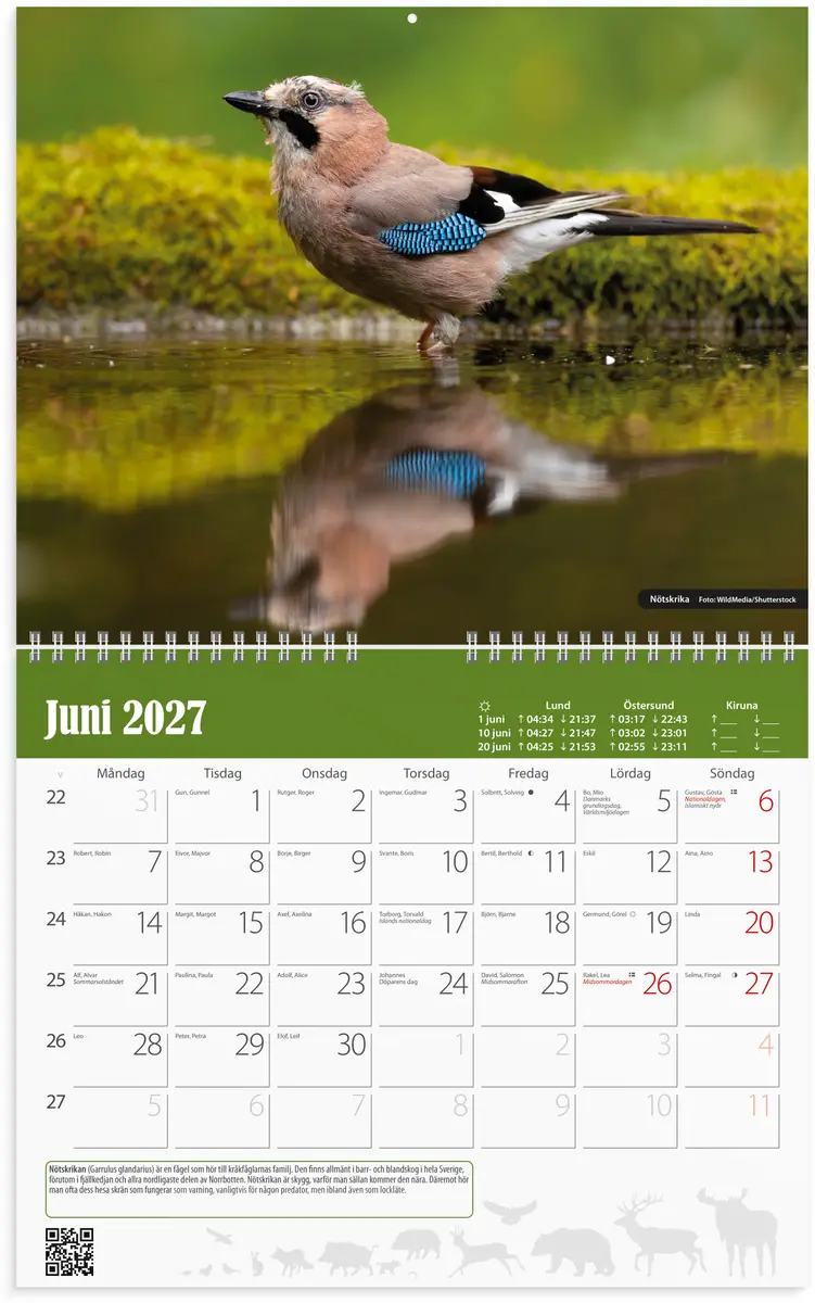 Väggkalender 2027 Jaktkalender - 2