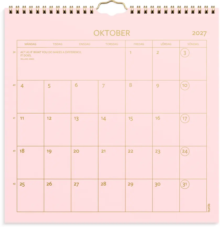 Väggkalender 2027 Color - 2