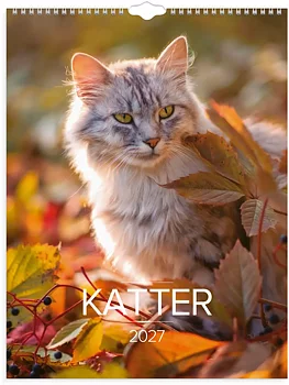 Väggkal 27 Stora Kattkalendern