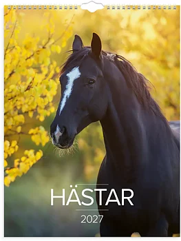 Väggka 27 Stora Hästkalendern