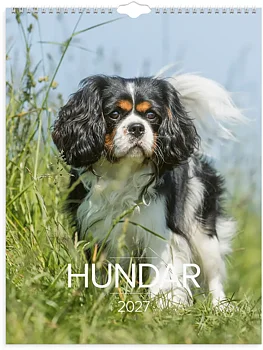 Väggkal 27 Stora Hundkalendern