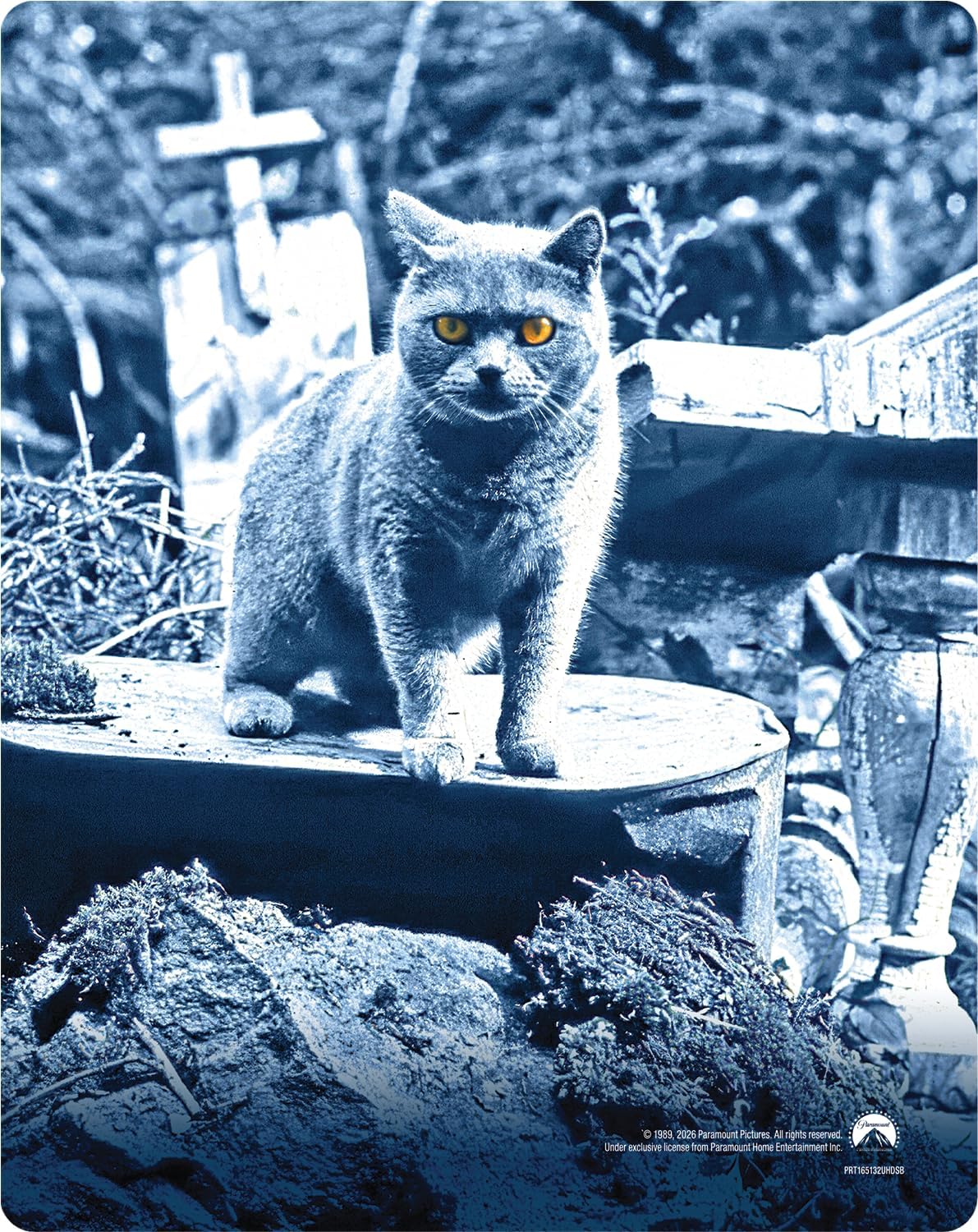 Pet Sematary (Limited Edition Steelbook) (4K Ultra HD + Blu-ray) - 2
