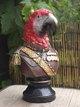 Dekoration - General Parrot