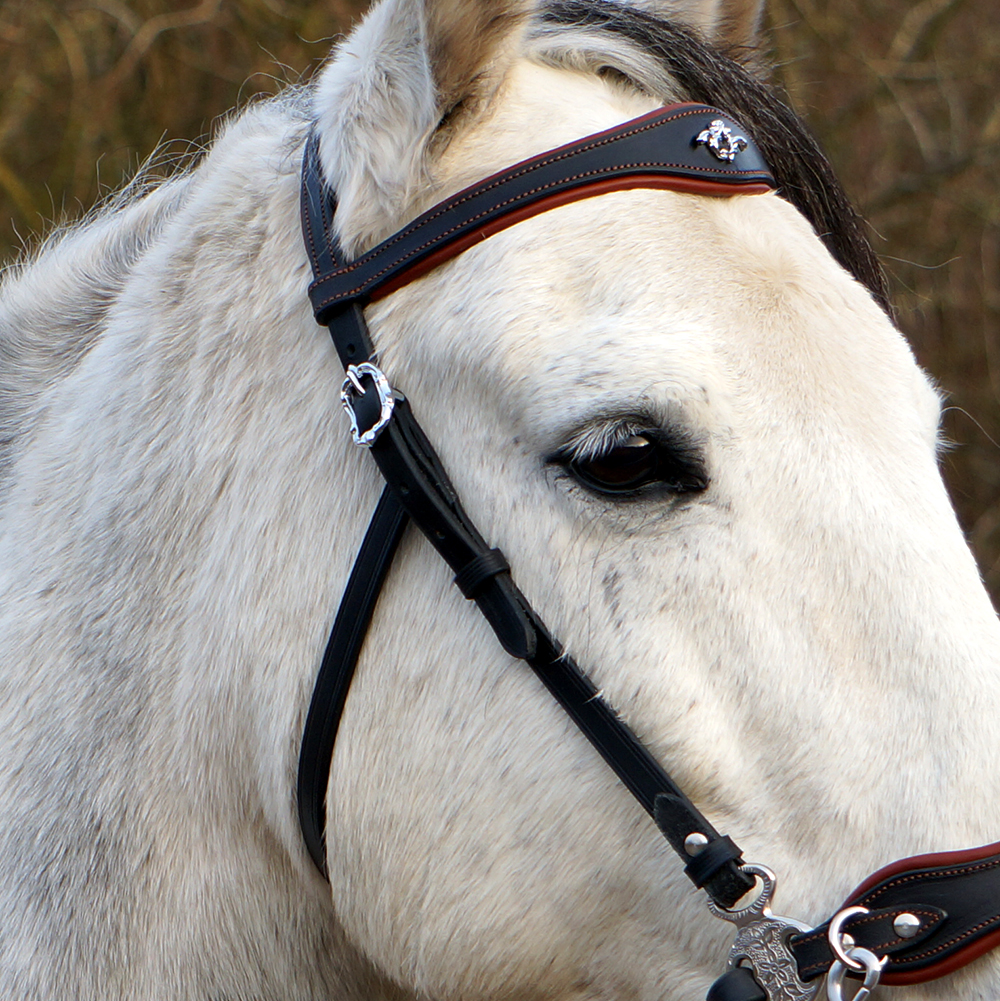 Hackamore headstall Noble by Opux® (without nosepart and scissors) - 6