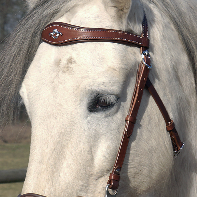 Hackamore headstall Noble by Opux® (without nosepart and scissors) - 7