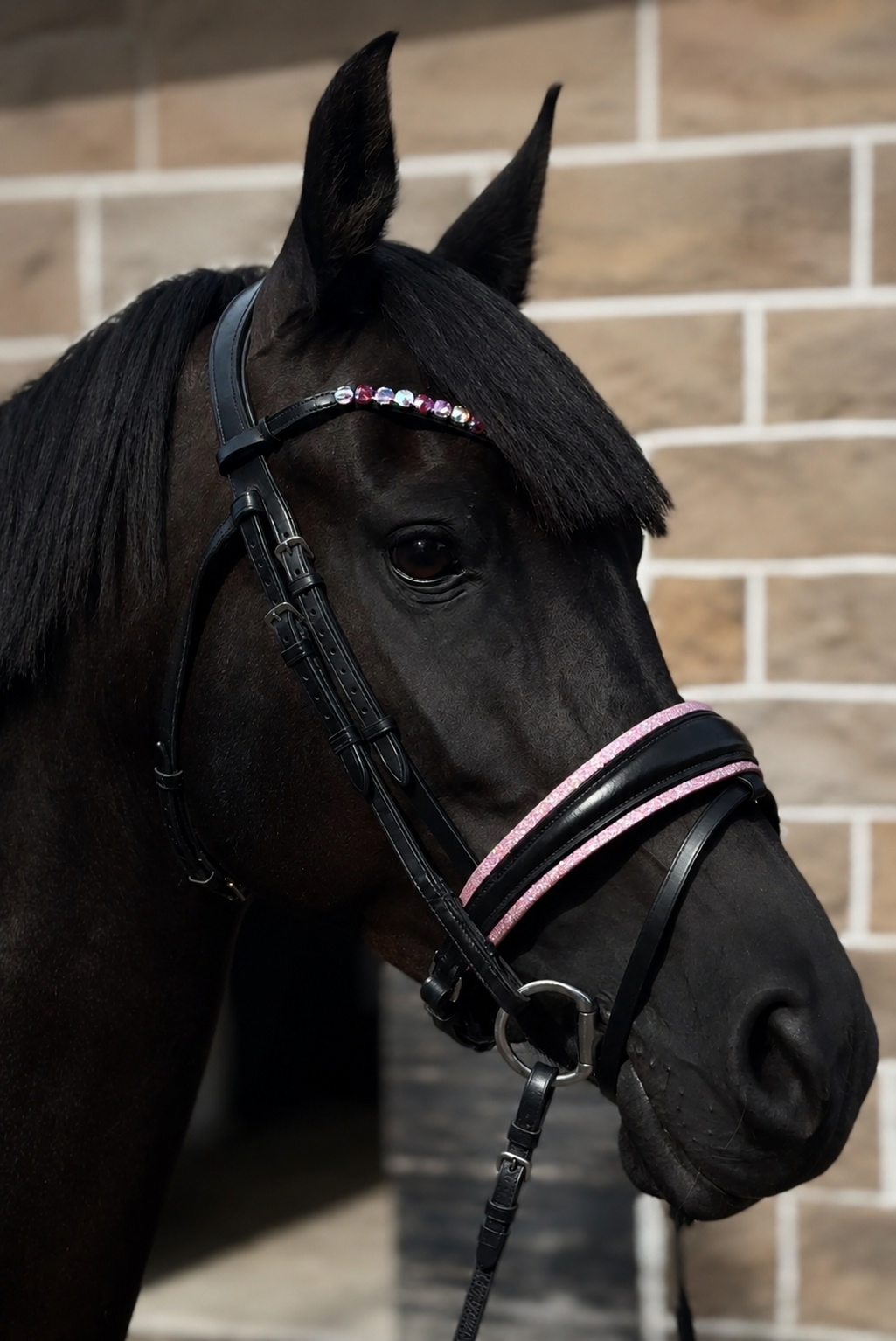 Noseband Sparkly Pink - 3