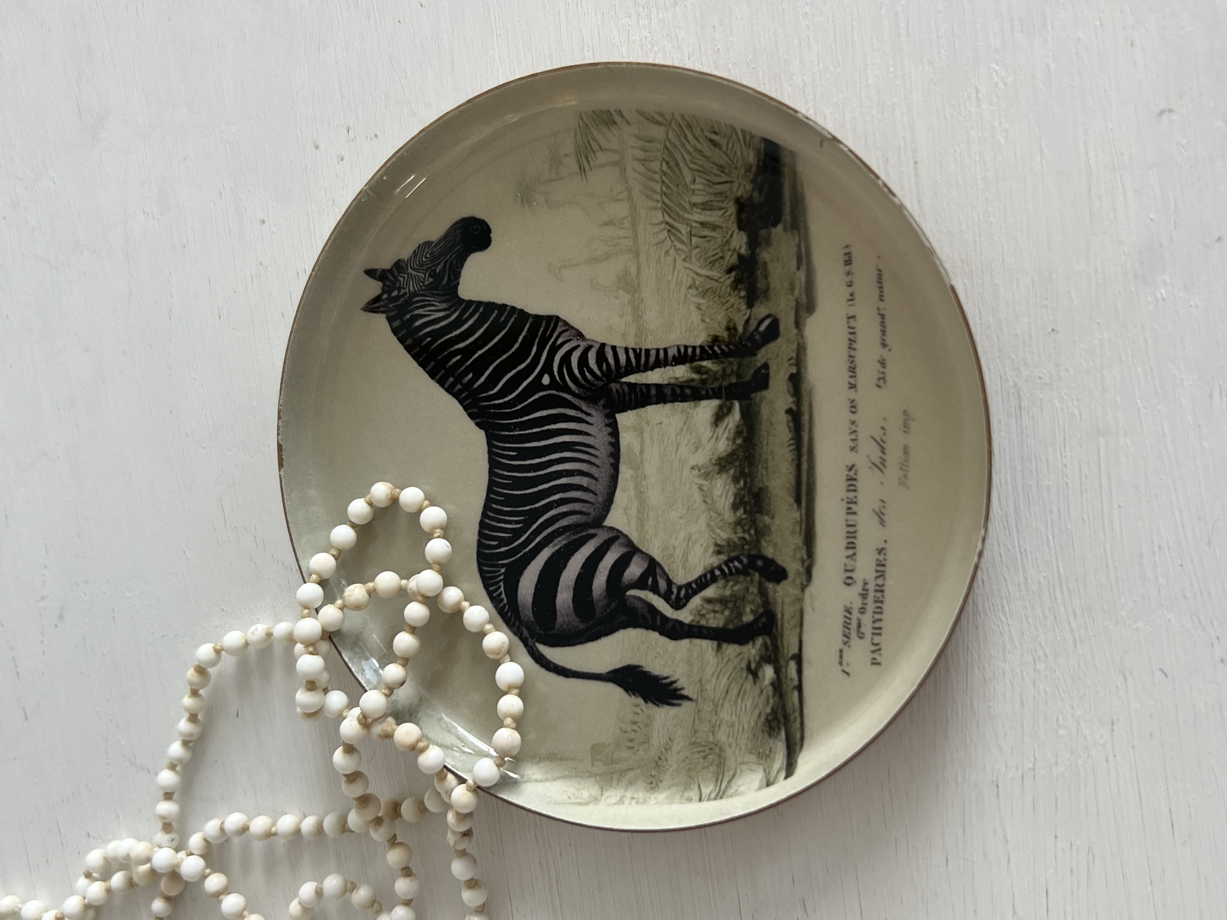 BRICKA AV EMALJ - ZEBRA