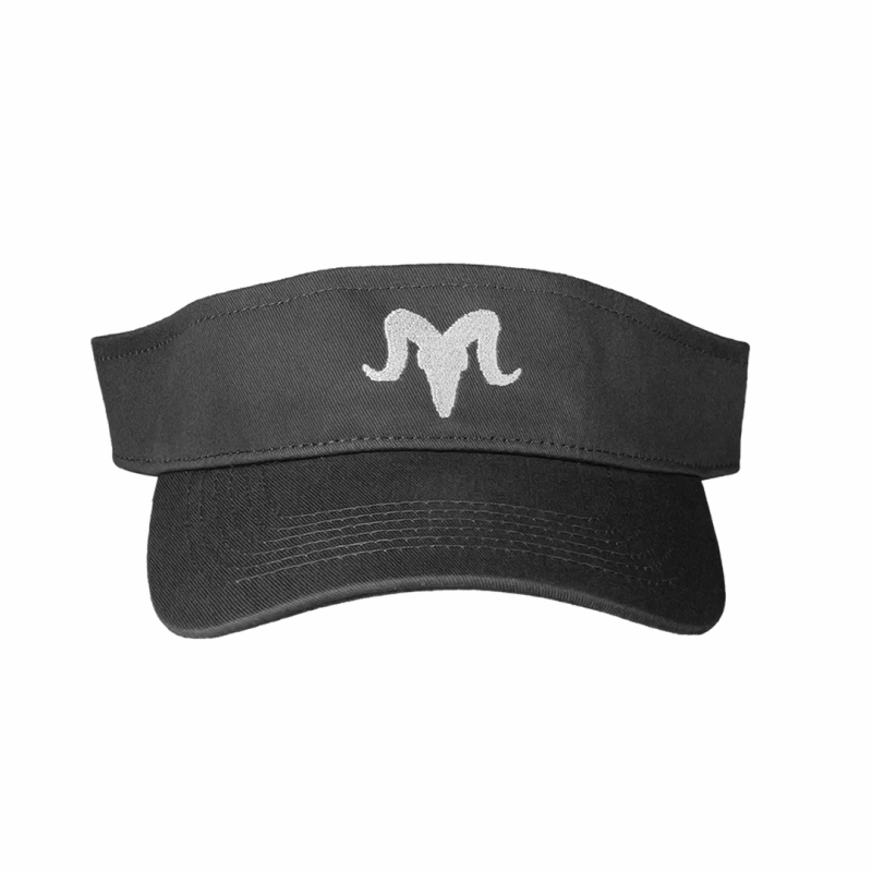 RamRods Visor 