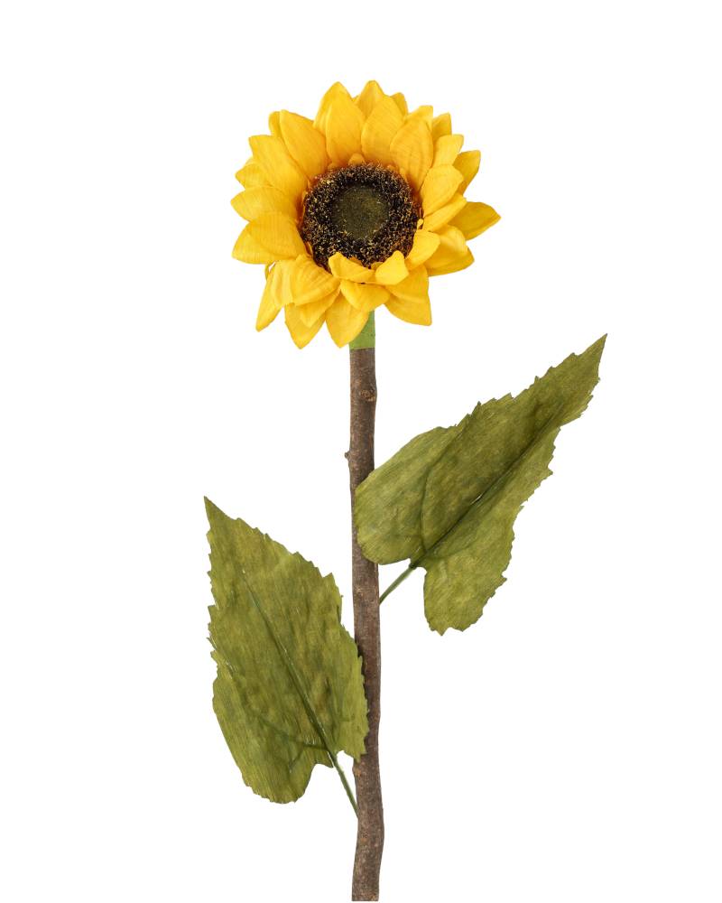 Sunflower - Yellow - 70 cm - 3