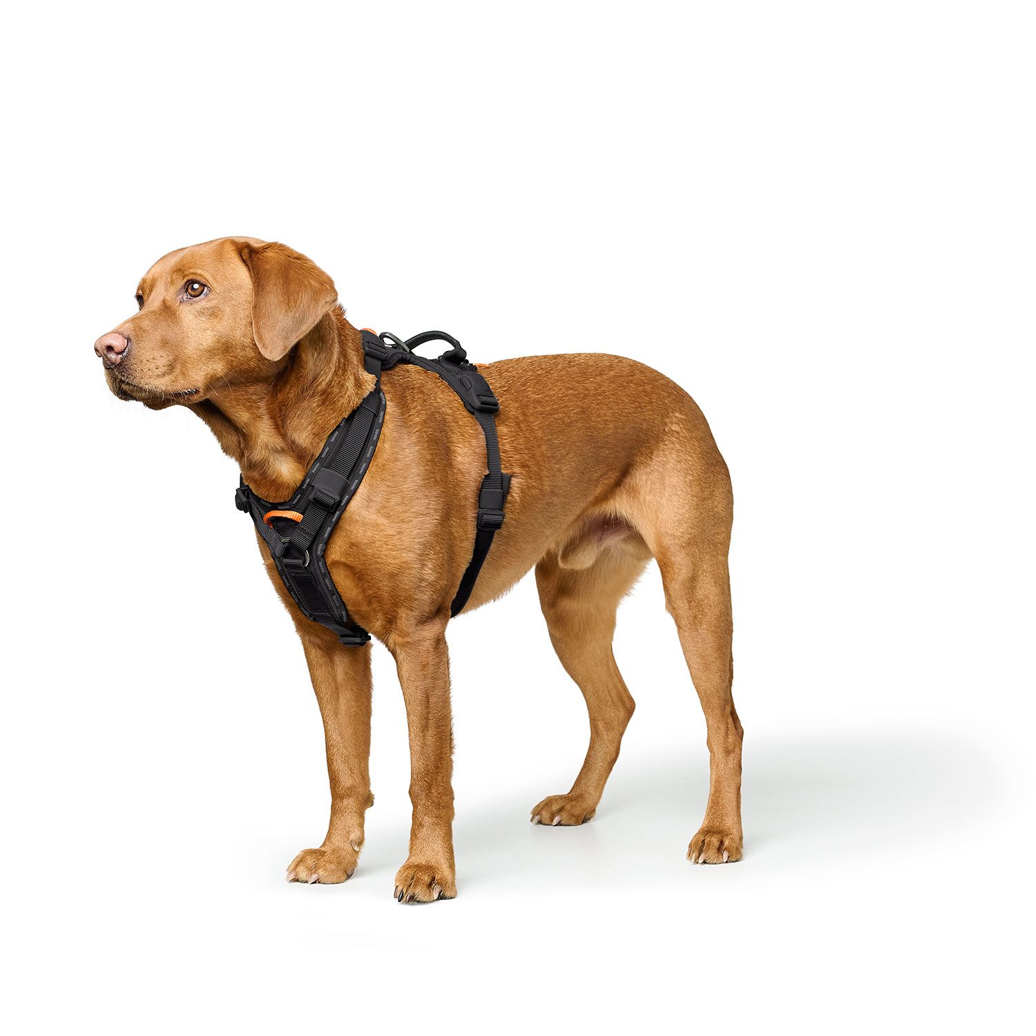 HUNTER Harness ErgoMove Pro™ Svart - olika storlekar - 2