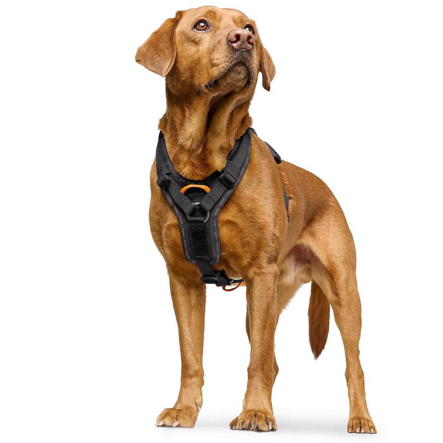 HUNTER Harness ErgoMove Pro™ Svart - olika storlekar - 10