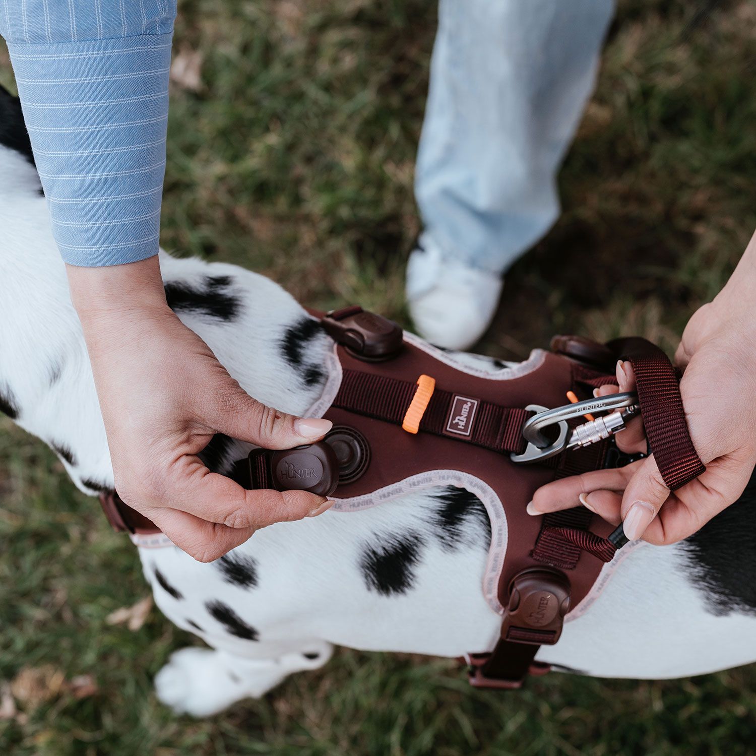 HUNTER Harness ErgoMove Pro™ Vinröd - olika storlekar - 5