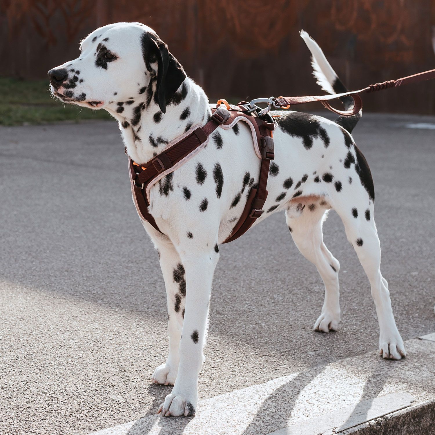 HUNTER Harness ErgoMove Pro™ Vinröd - olika storlekar - 2