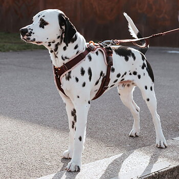 HUNTER Harness ErgoMove Pro™ Vinröd - olika storlekar