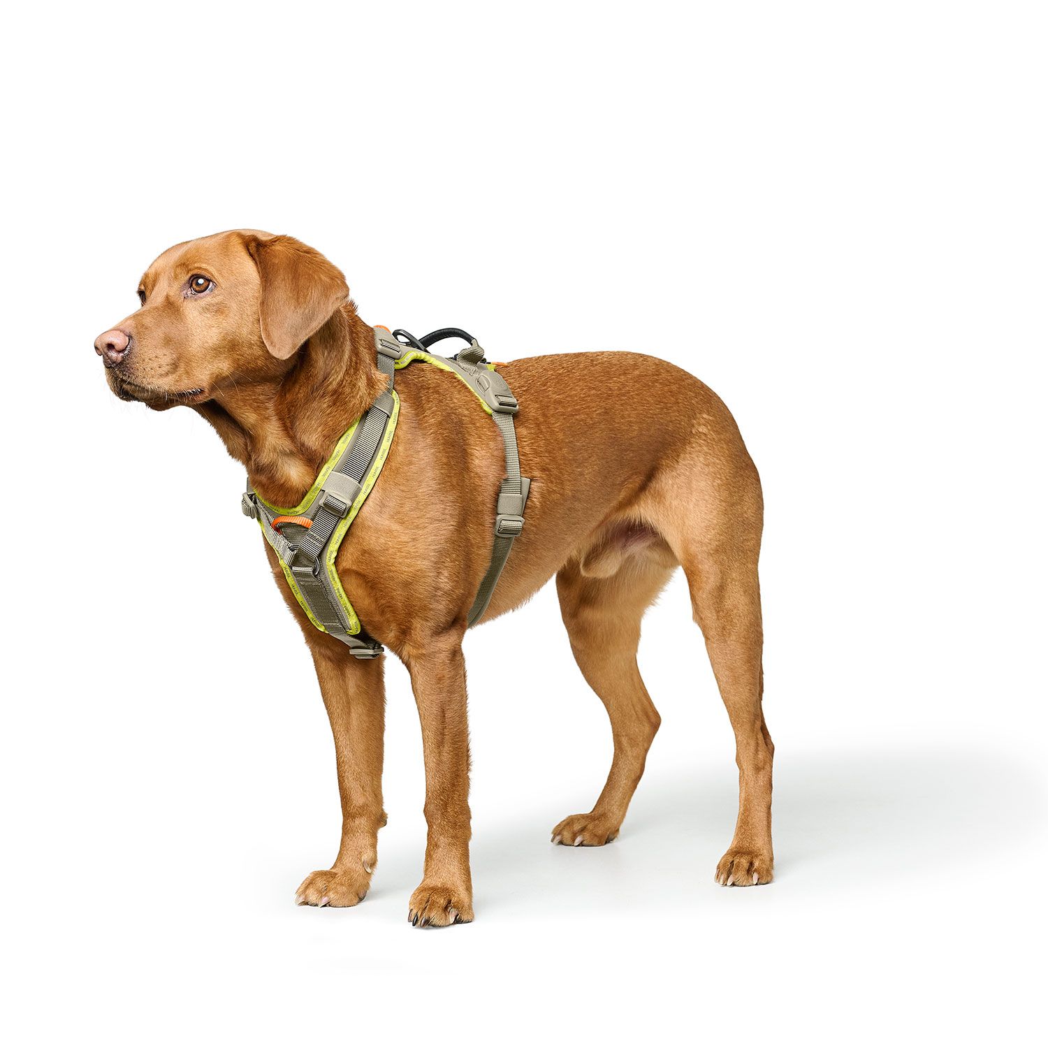 HUNTER Harness ErgoMove Pro™ Grågrön- olika storlekar - 7