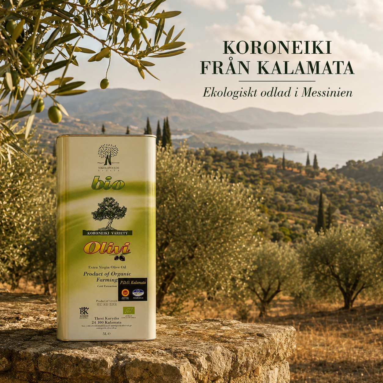 Olivi Bio Kalamata P.D.O. Ekologisk Olivolja 5L, nikolopoulos estate - 5