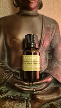 Rosenrot tinktur 10ml , essence of Lapland
