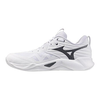 Mizuno Wave Momentum Pro