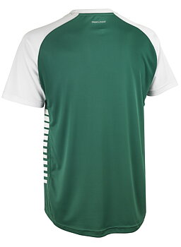 Pisa X tshirt JR V25 (AIF)