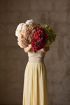 Hortensia 48 cm