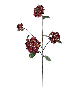 Hortensia 80 cm