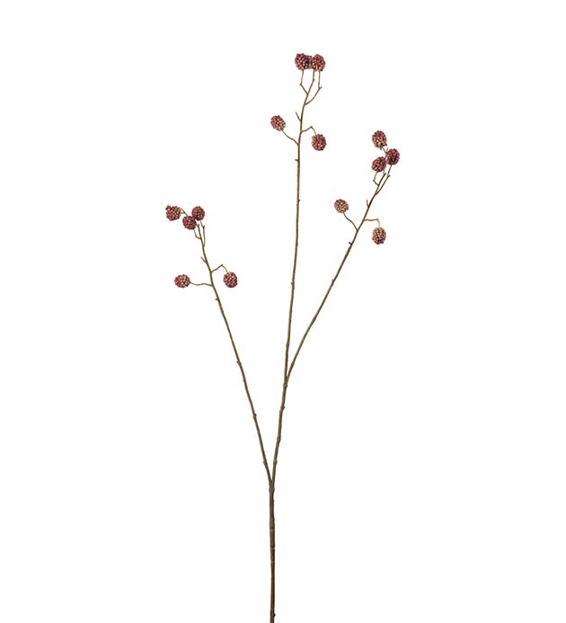 Mullbärskvist 93 cm