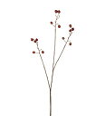 Mullbärskvist 93 cm