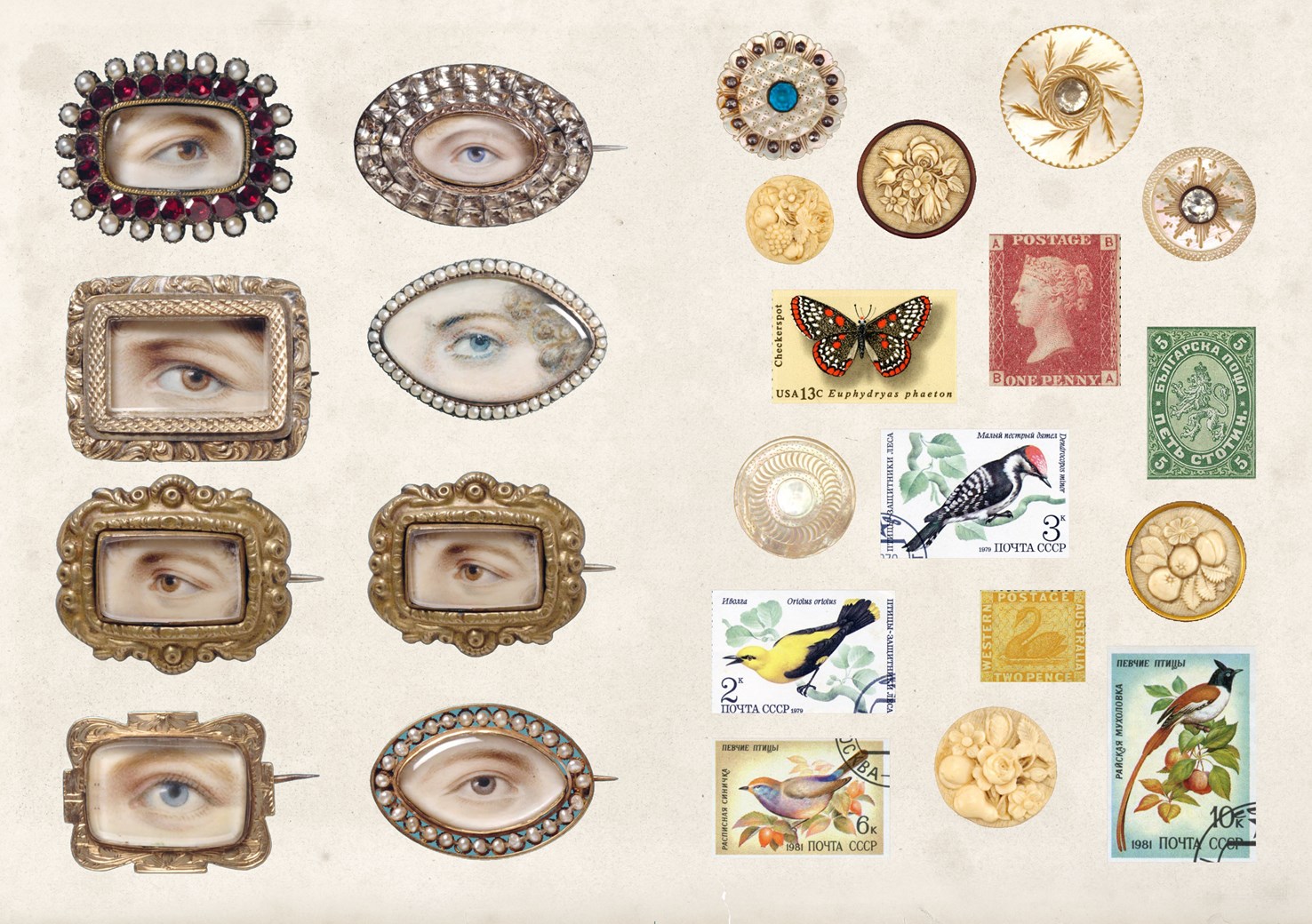 The Curious Collections Sticker Book - 3