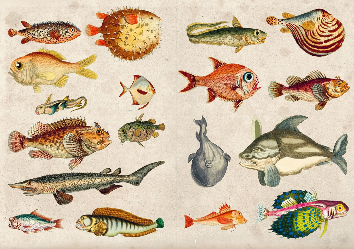 The Curious Collections Sticker Book - 6